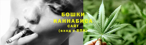 молекула духа Балабаново